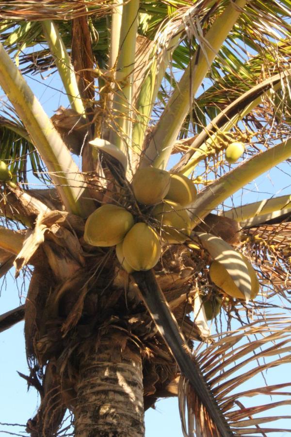 Lindo Apartamento frente praia com serviço de limpeza Lauro de Freitas Exterior foto